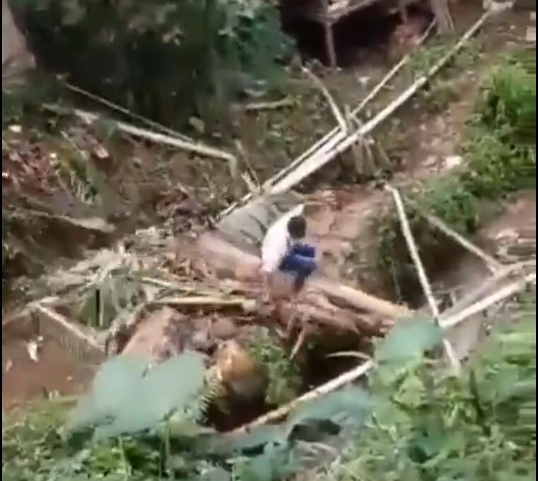 Niat Menebang Pisang, Lelaki Ini Malah 'Ndlosor' Ke Sungai!