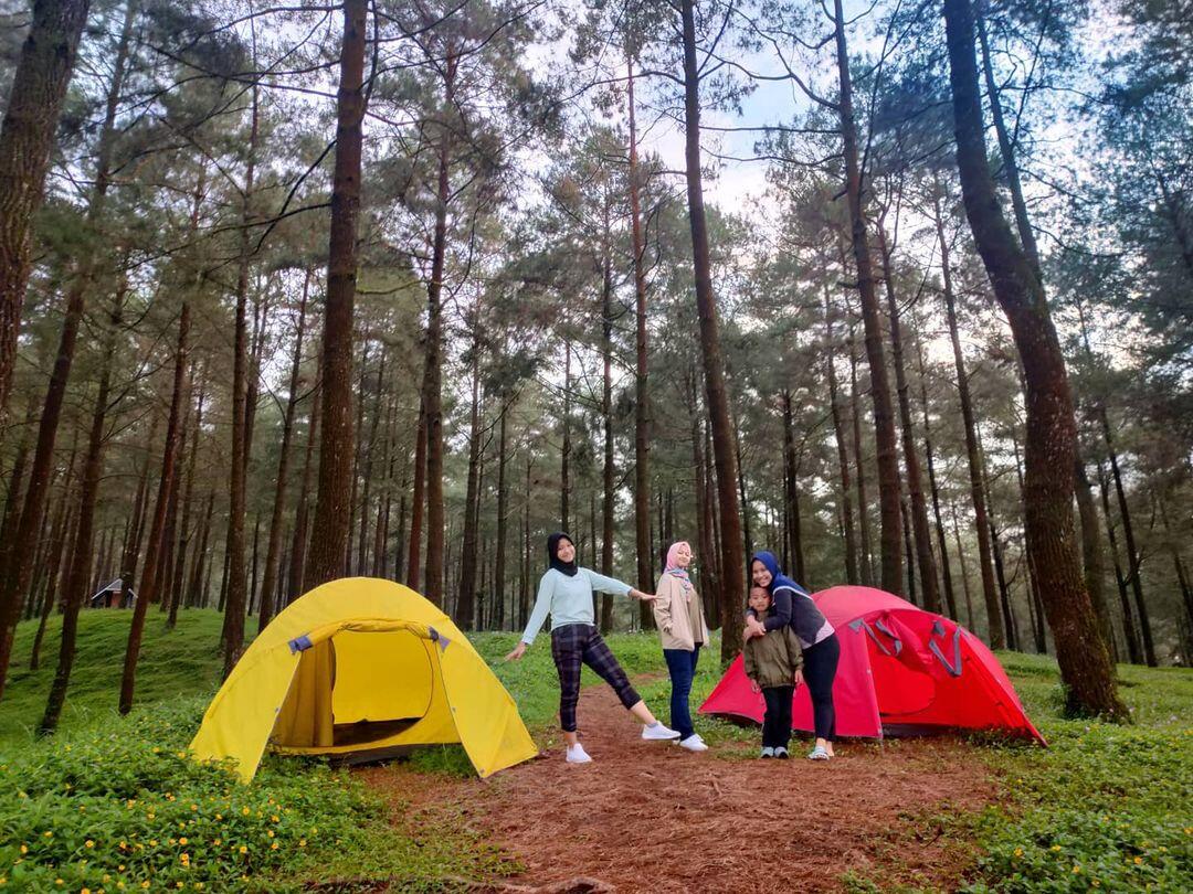 Romantisnya Hutan Pinus Limpakuwus, Destinasi Ter-'uwu' Yang Sayang Untuk Dilewatkan!