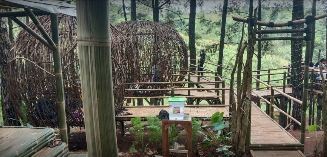 Cafe Yang Cocok Buat Ngedate! Kuy ke Romantic Garden Pinus