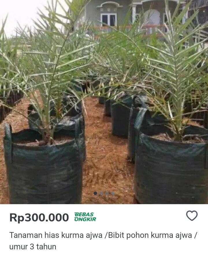 Investasi Jangka Pendek untuk Hasil Jangka Panjang