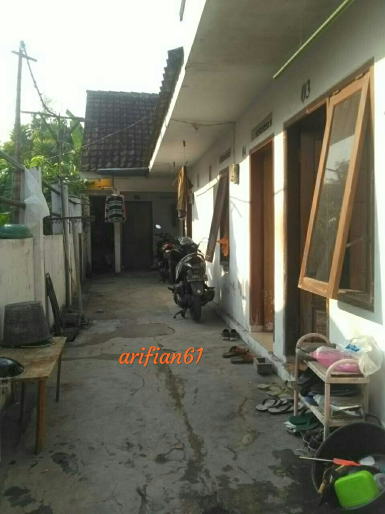 Mau Punya Pohon Duit Yang Berbuah Dalam Jangka Waktu Pendek Maupun Panjang? Cekidot!
