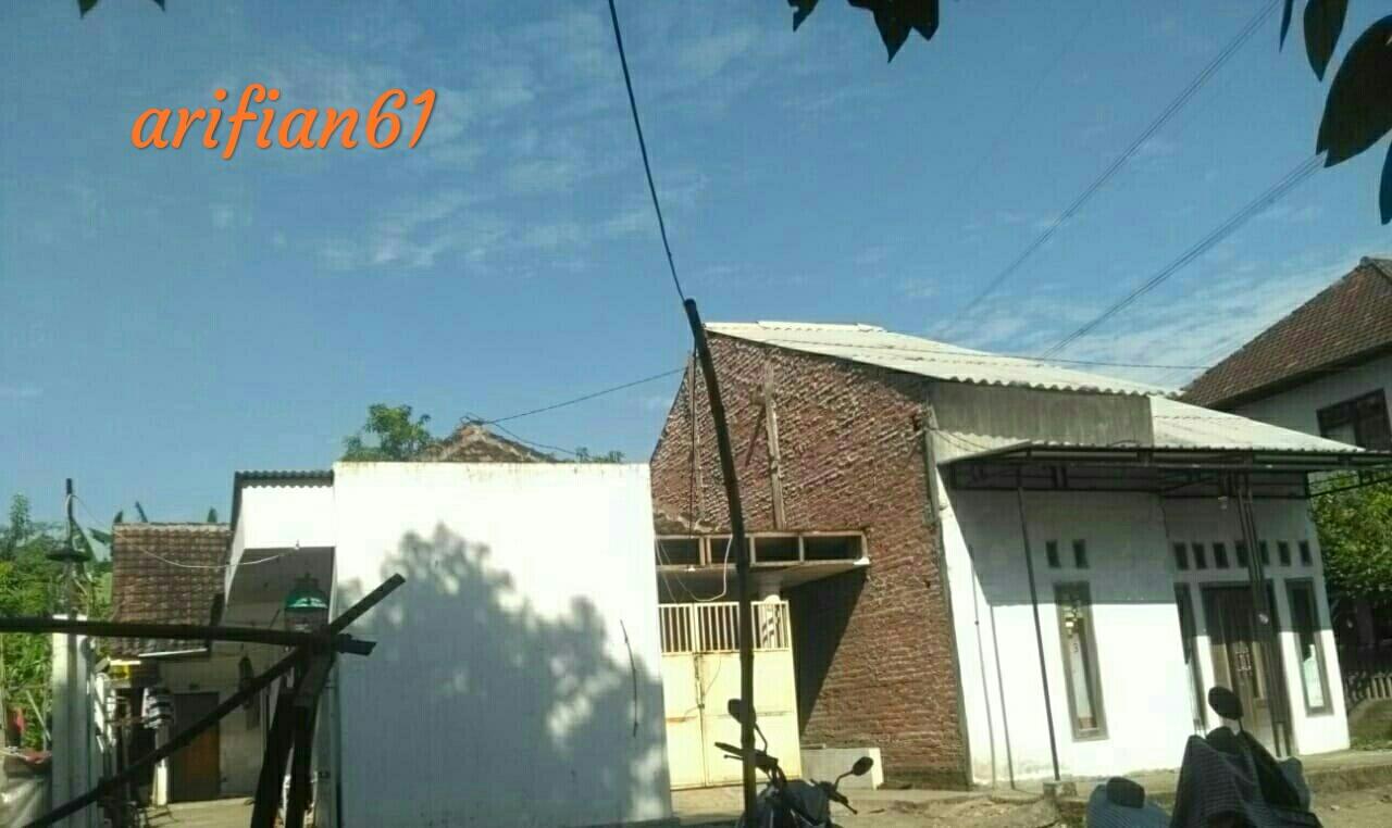 Mau Punya Pohon Duit Yang Berbuah Dalam Jangka Waktu Pendek Maupun Panjang? Cekidot!