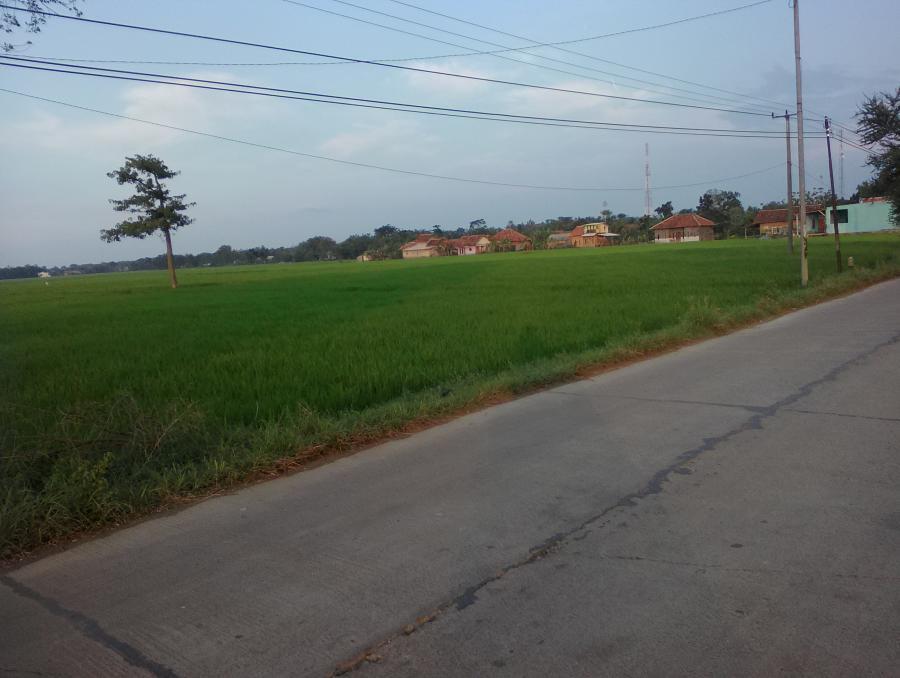 Bingung Mau Investasi Apa? Beli Tanah Aja Gan, Banyak Untungnya !