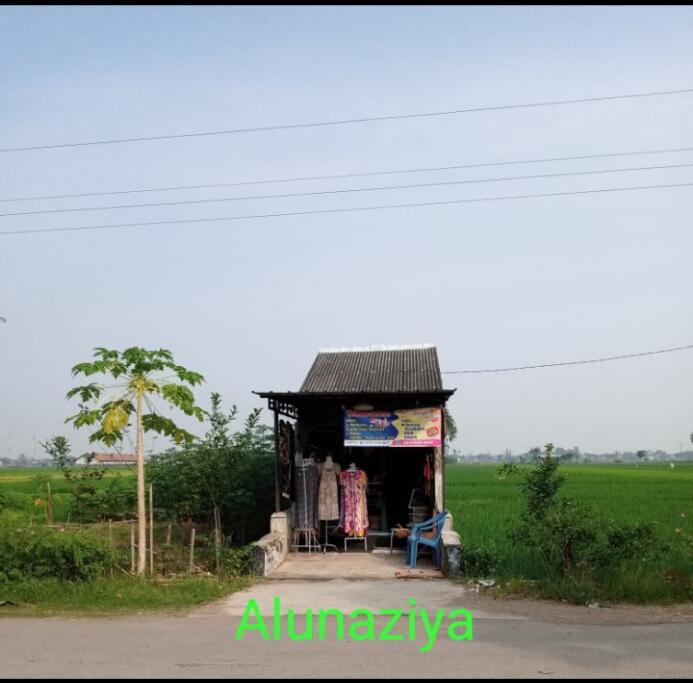 Sepetak Sawah dan Toko Kecil, Investasi Ane Untuk Masa Depan Anak-anak.