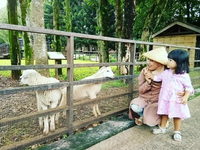 Berwisata Asyik dan Populer yang Cocok Buat Sang Buah Hati, ke Sini Saja Kuy!