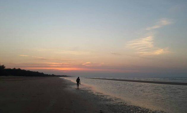 Pantai Lombang, Pantai Unik yang Dikelilingi Pohon Cemara Udang