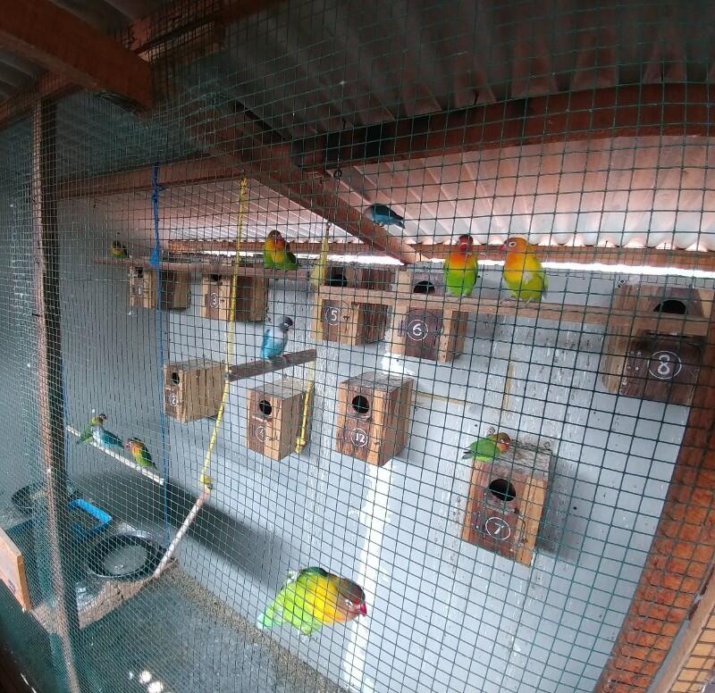 Mudah Tapi Butuh Pengalaman, Inilah Investasi Masa Tua Yang Ane Jalani Gan