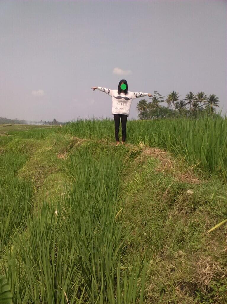 Sawah Jadi Pilihanku Untuk Investasi Masa Depan.