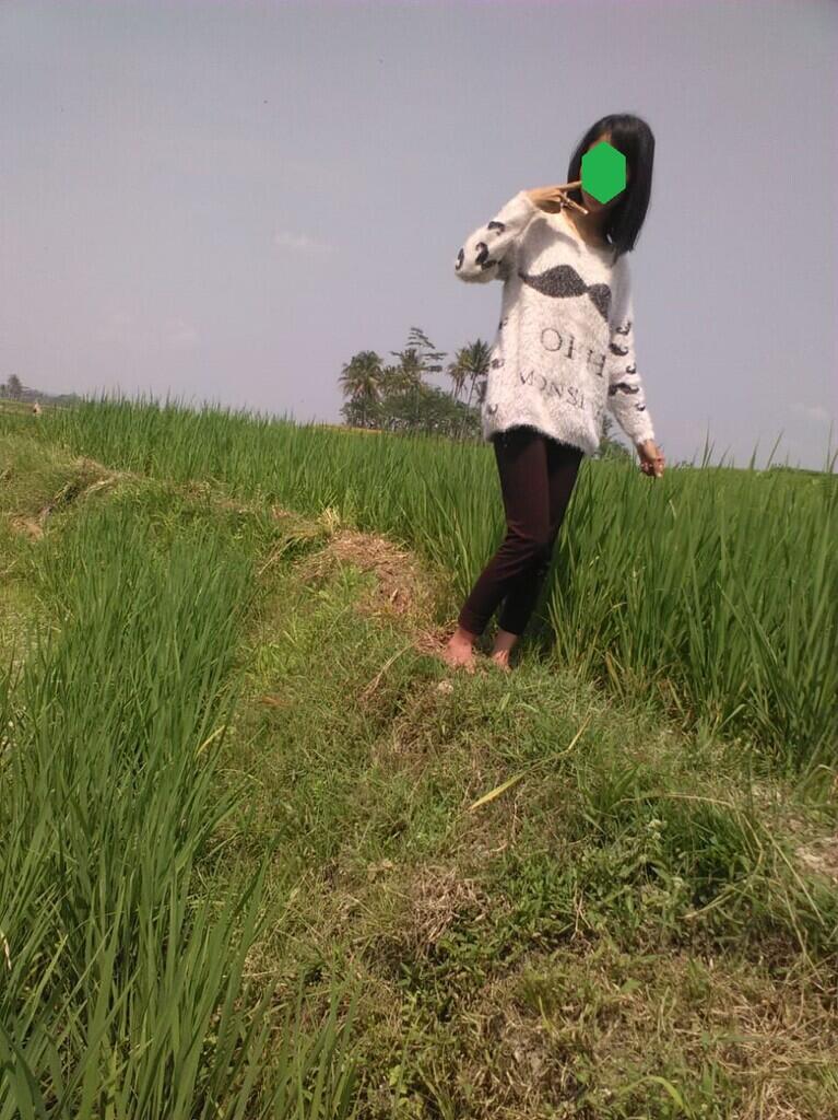 Sawah Jadi Pilihanku Untuk Investasi Masa Depan.