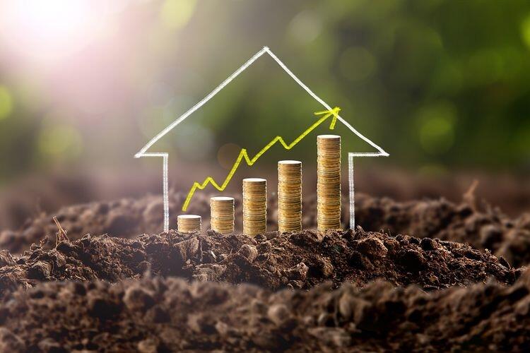 Sawah Jadi Pilihanku Untuk Investasi Masa Depan.