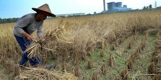 Tradisi Kesenian Asal Sumenep yang Hampir Punah