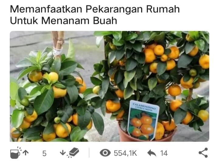 Investasi Ini Akan Memperoleh Keuntungan Dunia dan Akhirat, Kok Bisa?