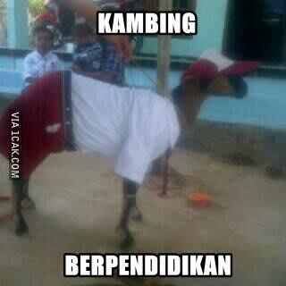 kaskus-image