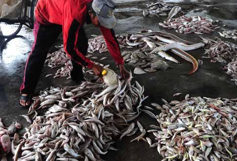 Echosounder, Alat Sederhana, Efektif dan Efisien Untuk Nelayan Banyuwangi