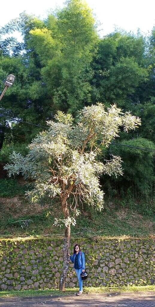 Rumah Kedua, Salah Satu Pilihan Investasi Ane Untuk #CuanXtra di Masa Tua