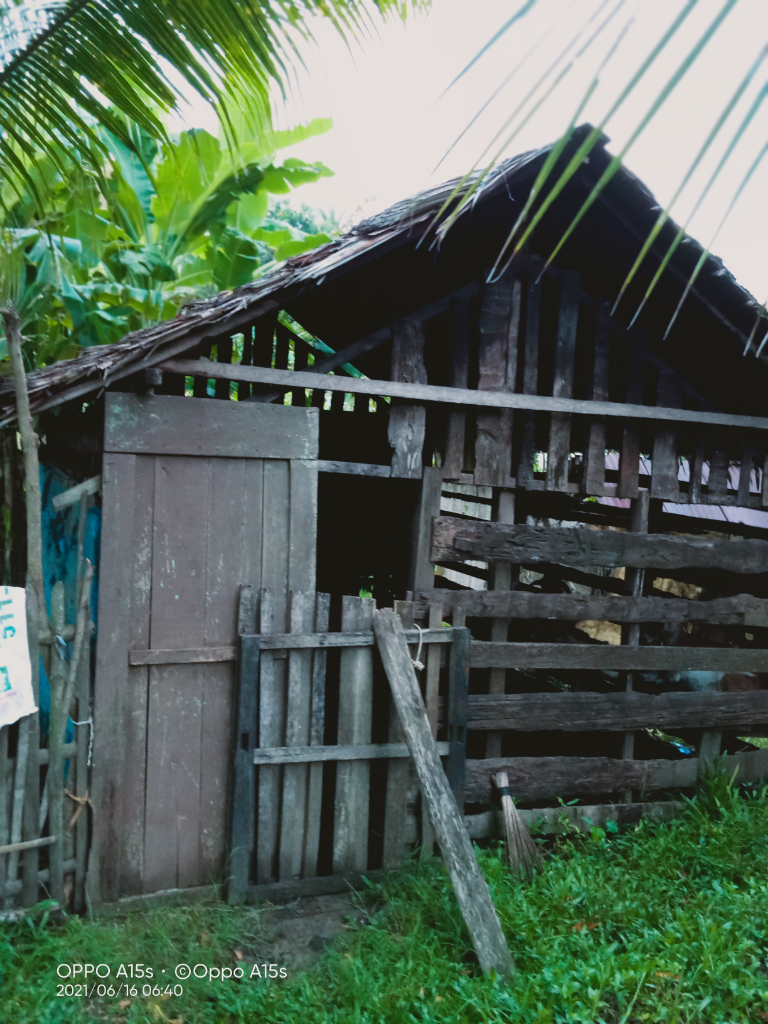 Beternak Kambing, Investasi yang Menyakinkan untuk Masa Depan