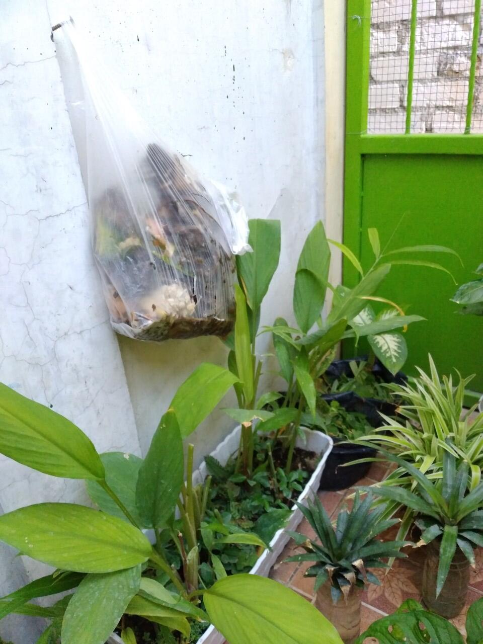 Menjalani Komitmen Selama 112 Minggu Mengkondisikan Sampah Plastik Sendiri