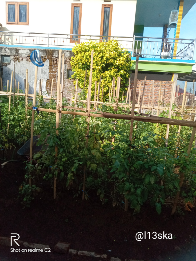 Dua Investasi Penting Penompang Hidup Di Masa Depan