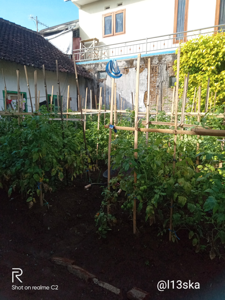 Dua Investasi Penting Penompang Hidup Di Masa Depan