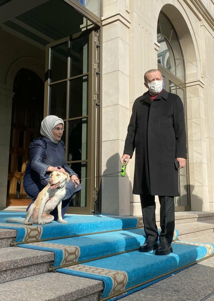 Ustad Somad Disemprot: Anjing Lebih Terhormat!