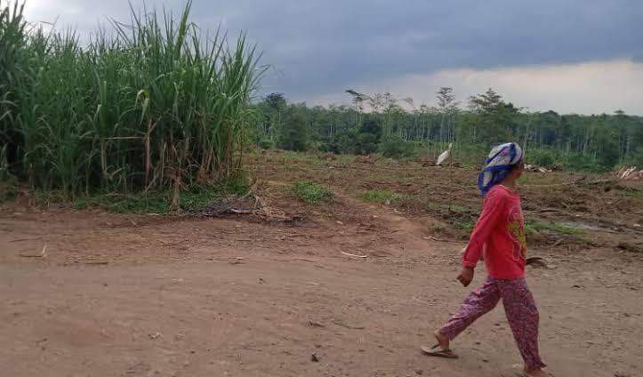Investasi Tanah Investasi Yang Menarik Banget