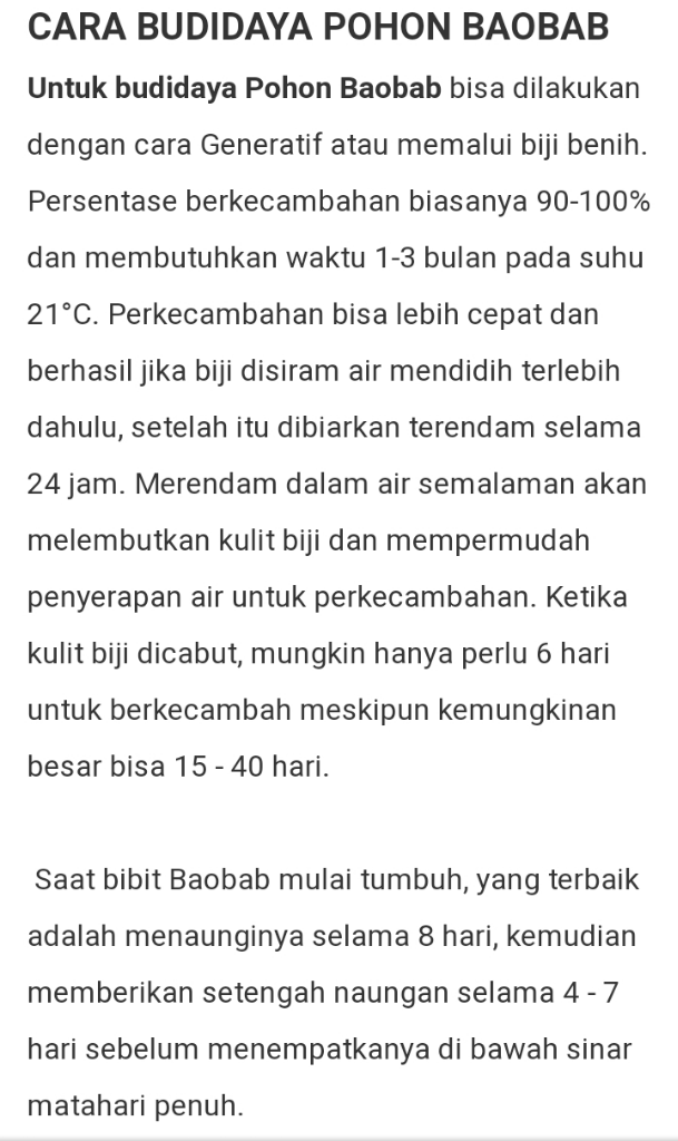 Menanam Pohon Baobab untuk Masyarakat Banyuwangi Selalu Berseri!