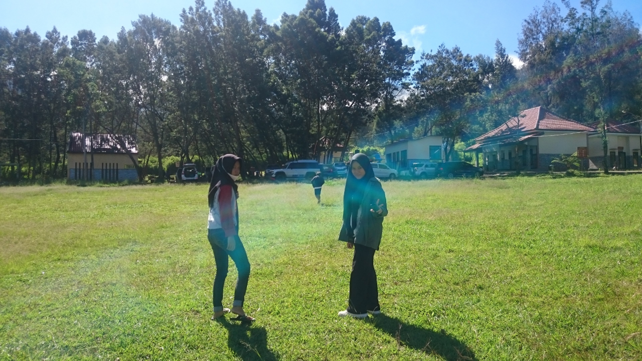 Glamping Di Kawasan Wisata Kawah Ijen? Sepertinya Menarik!