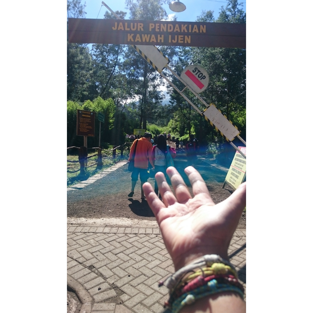 Glamping Di Kawasan Wisata Kawah Ijen? Sepertinya Menarik!