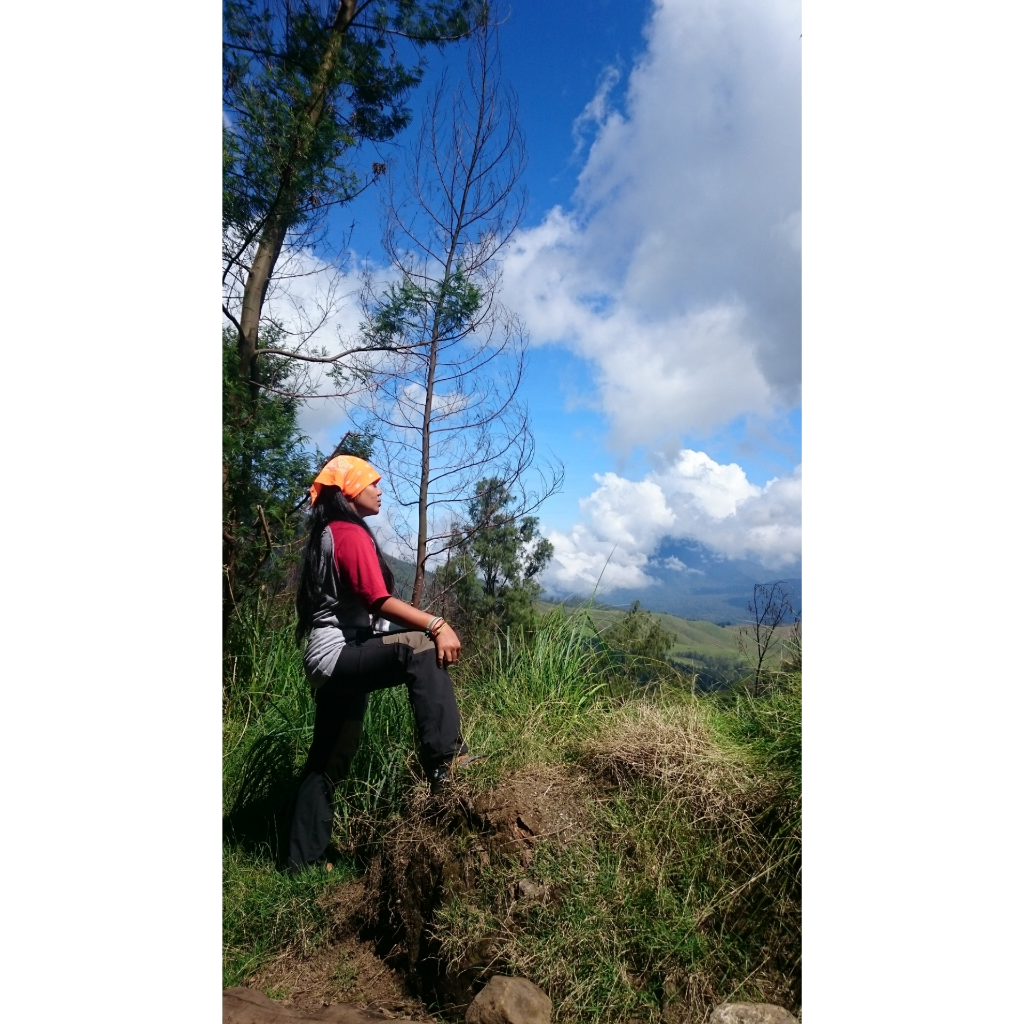 Glamping Di Kawasan Wisata Kawah Ijen? Sepertinya Menarik!