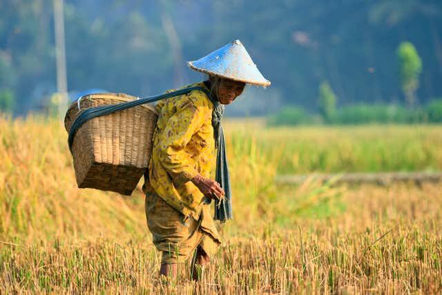 Membesarkan Anaknya Sejak Suami Meninggalkan Dunia, Anak Kedua Masih Dalam Kandungan!