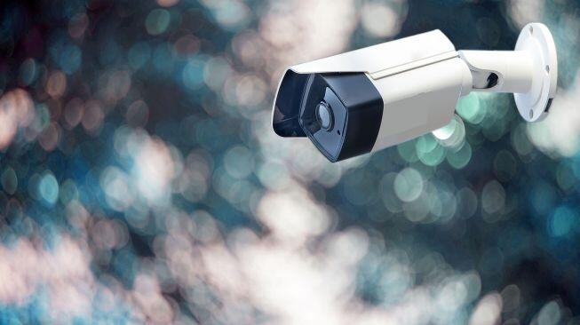Dua Pengawas Uni Eropa Serukan Larangan Penggunaan Pengenalan Biometrik diRuangPublik