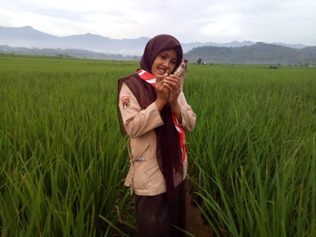 Puspaku