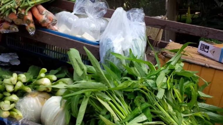 Wanita Kuat Itu Bernama Mbak Rukiyah, Kisahnya Mampu Menjadi Inspirasi Para Wanita.