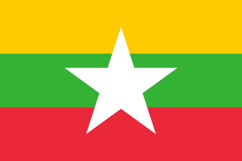 Mengenal &quot;People's Defence Force&quot; (Myanmar)