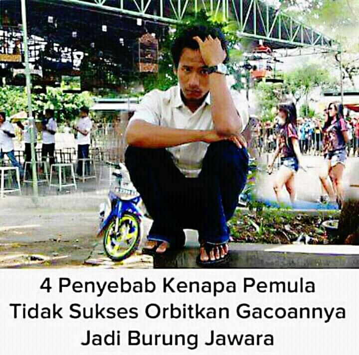 4 Penyebab Kicau Mania Pemula Tidak Sukses Di Lapangan. Kamu Harus Tau! 