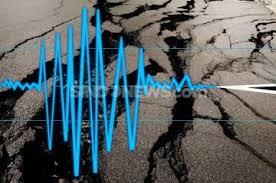 Garut Gempa Tektonik 2,9 SR, BMKG Sebut Akibat Aktivitas Sesar Garsela