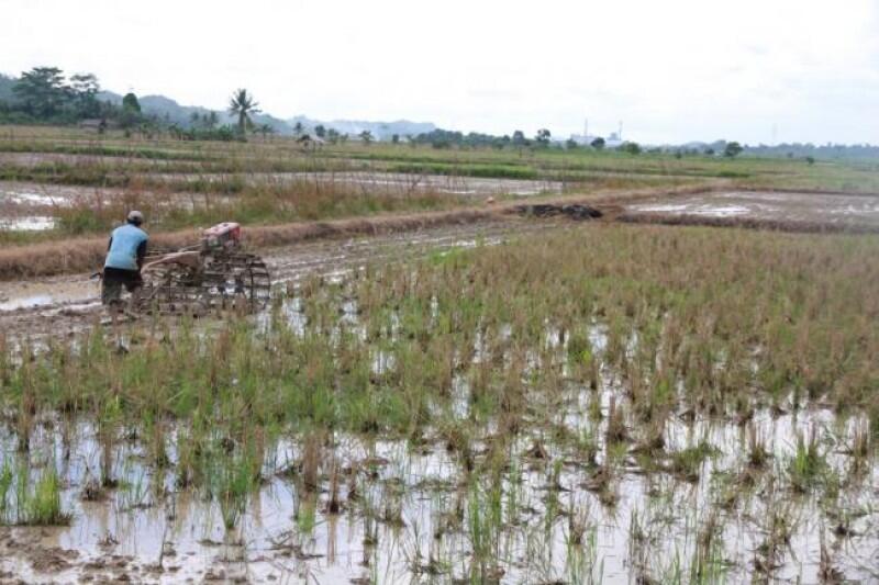 3 inovasi yang di anggap mampu meningkatkan kemajuan dan kemandirian Kalimantan Timur