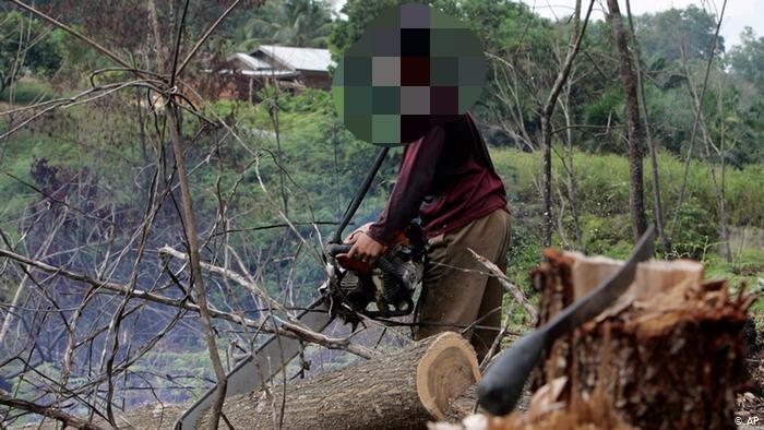 Rusak Kawasan Rimba, 4 Pelaku Berhasil Ditangkap &amp; BKSDA Jabar Menemukan Katak Langka