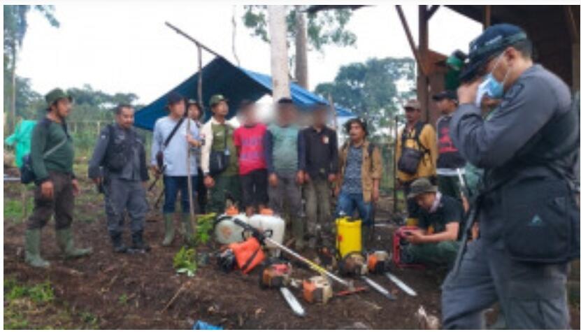 Rusak Kawasan Rimba, 4 Pelaku Berhasil Ditangkap &amp; BKSDA Jabar Menemukan Katak Langka