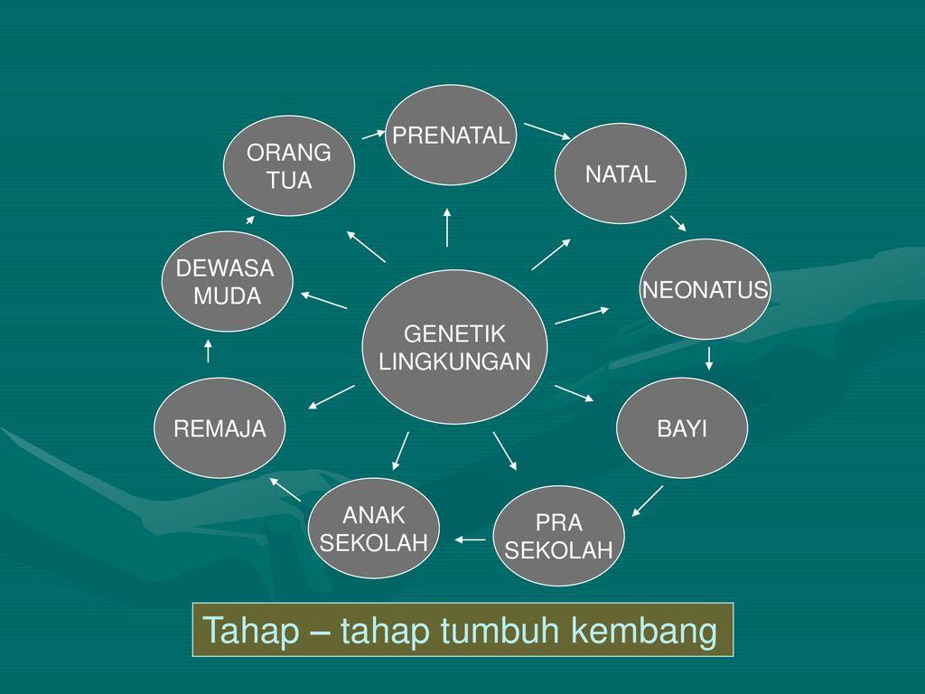 Viral Bocah Bawa Celurit dan Ngomong Kasar ke Tetangga, Ini Pelajaran yang Bisa Ambil