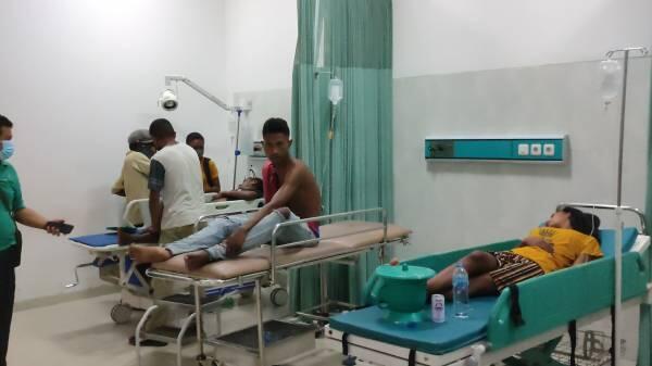 Sikka Gempar, 4 Orang Tumbang Tak Bernyawa Usai Makan Ikan Buntal, 6 Sekarat