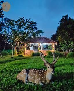 Tempat Wisata Asik Baik Di Pusat Kota Dan Peyangga Ibukota Jakarta, Penasaran!! 