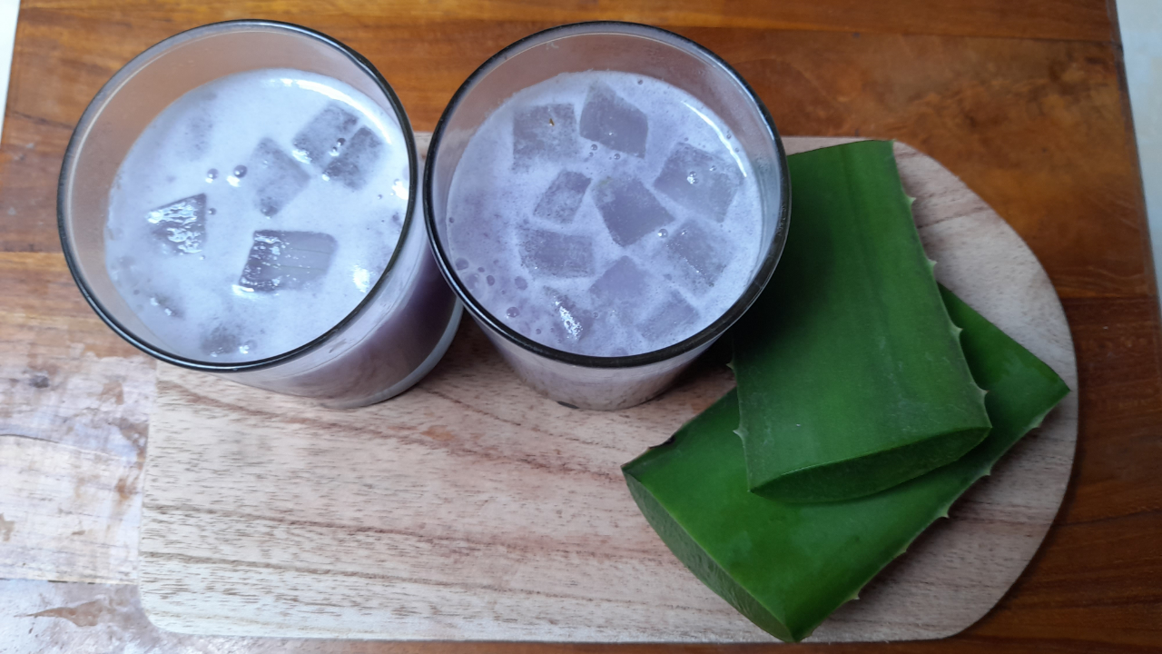 TANAMAN LIDAH BUAYA MELIMPAH? MARI KITA OLAH MENJADI JELLY ALOE VERA YANG ENAK BANGET