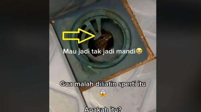 Hendak Mandi, Pria Ini Urungkan Niat, Ada Mata Memandang dari Lubang Pembuangan