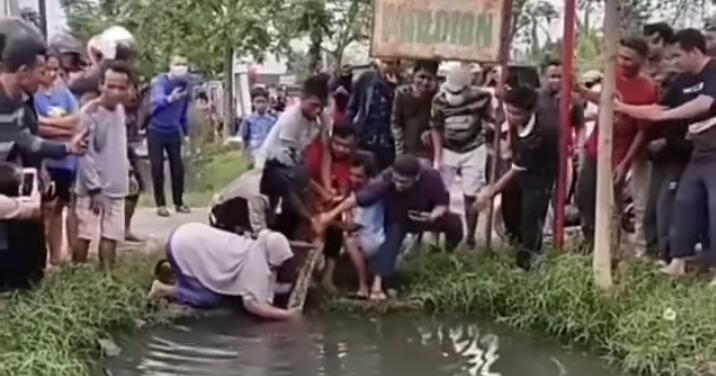 Viral Emak Pemberani Tangkap Ular di Selokan Bersama Kaum Pria, Ini Aksi Berbahaya!