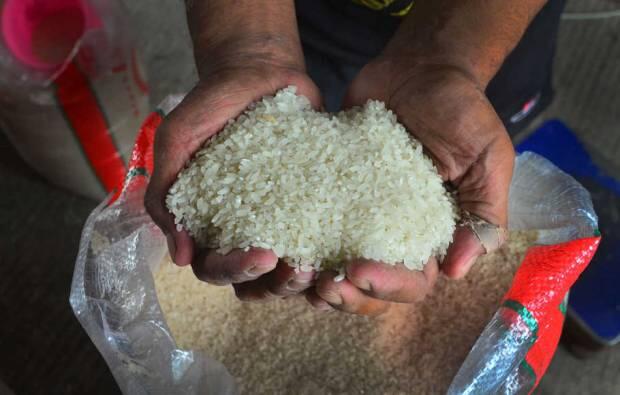 Cegah Stunting, M-Tani Bikin Beras Sego Wangi Plus