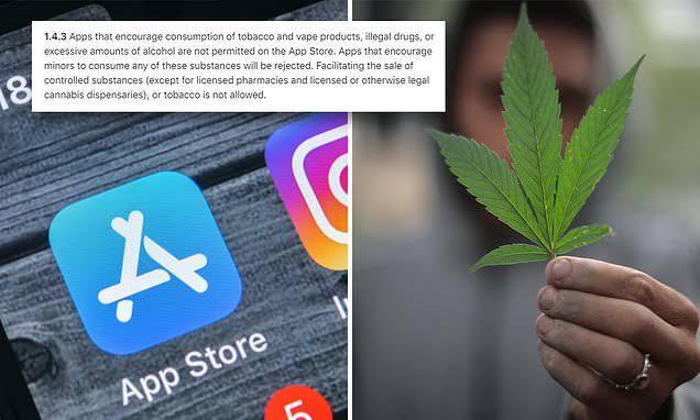 Ciee.., Apple Ijinkan Penjualan dan Pembelian Ganja dari App Store, Google: No Lah