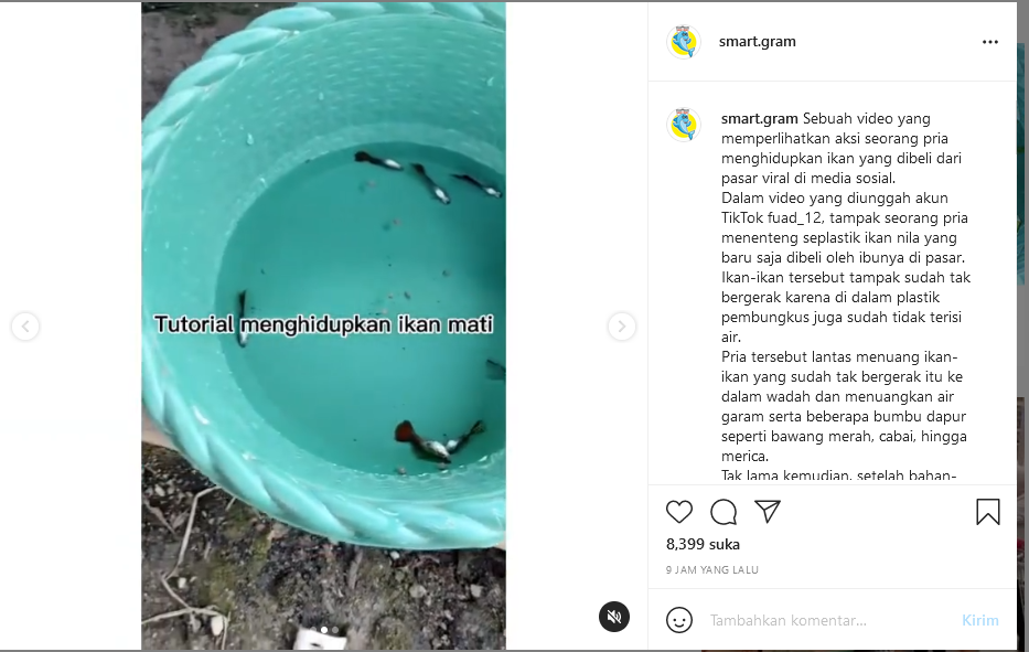 Viral Ikan Mati bisa hidup kembali dengan cara seperti ini