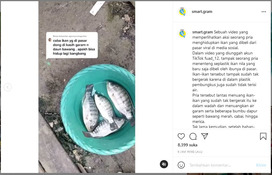 Viral Ikan Mati bisa hidup kembali dengan cara seperti ini