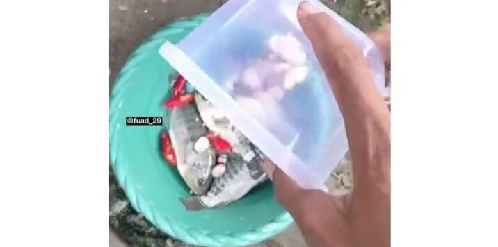 Heboh Ikan Mati Hidup Lagi Saat Direndam Air Garam & Bumbu Dapur, Ini Fakta Ilmiahnya